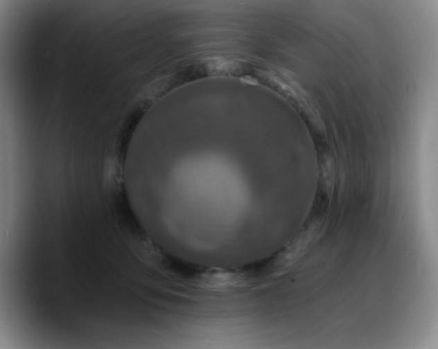 X0000090730419200707201412