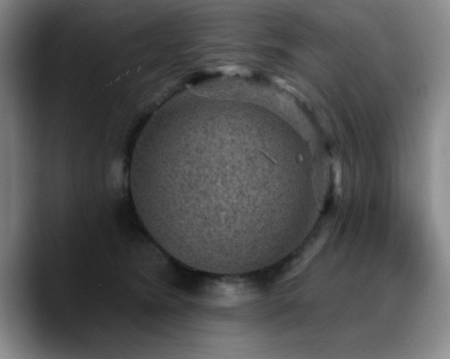 X0000090730420200707201412