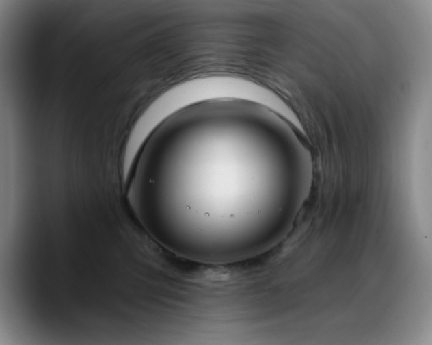 X0000090730423200707201412
