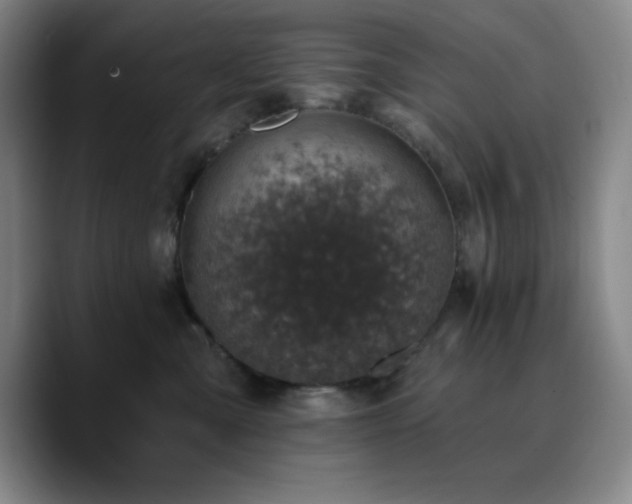 X0000090730427200707201412