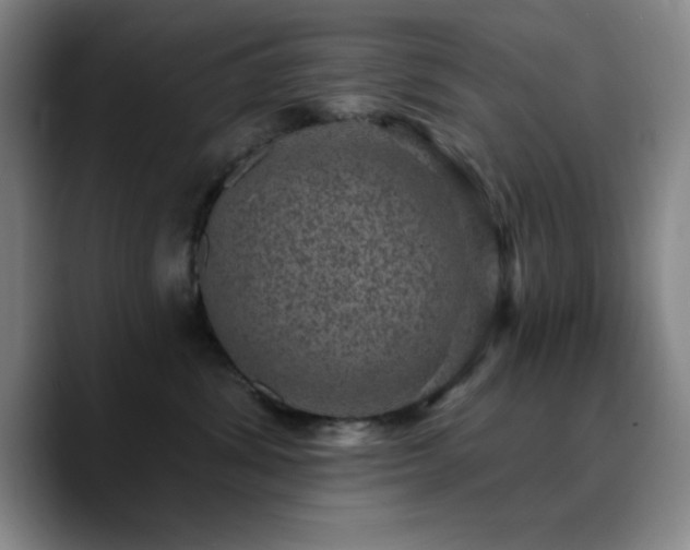 X0000090730428200707201412