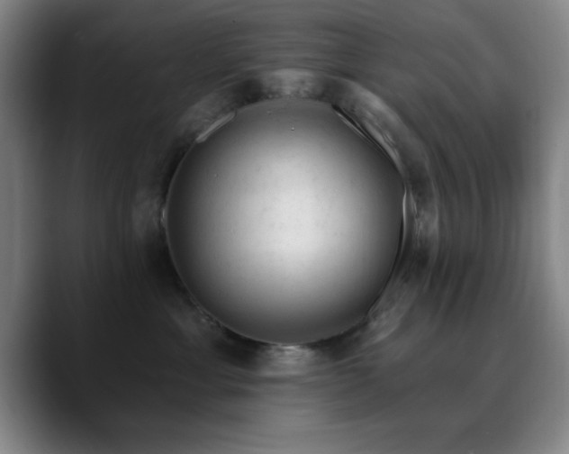 X0000090730429200707201412