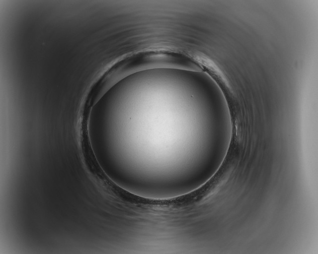 X0000090730436200707201412