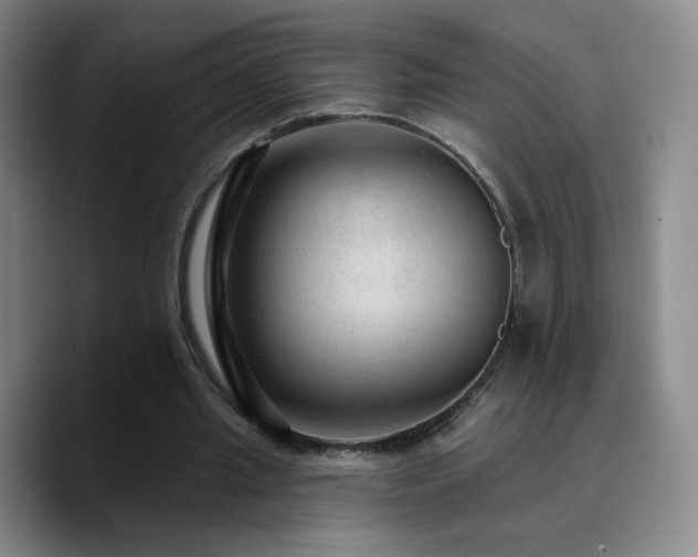 X0000090730437200707201412