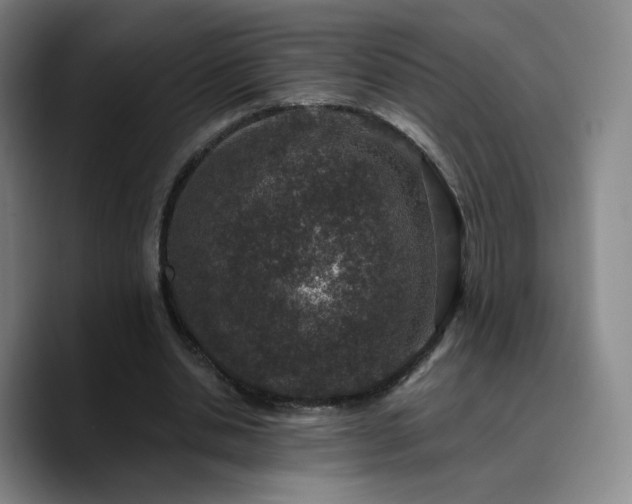 X0000090730438200707201412