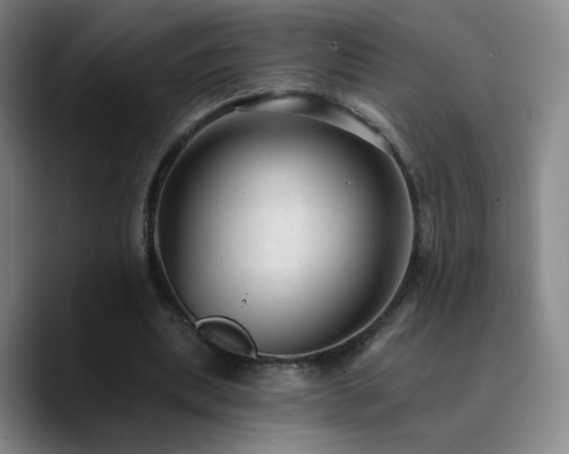 X0000090730439200707201412