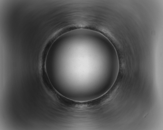 X0000090730440200707201412