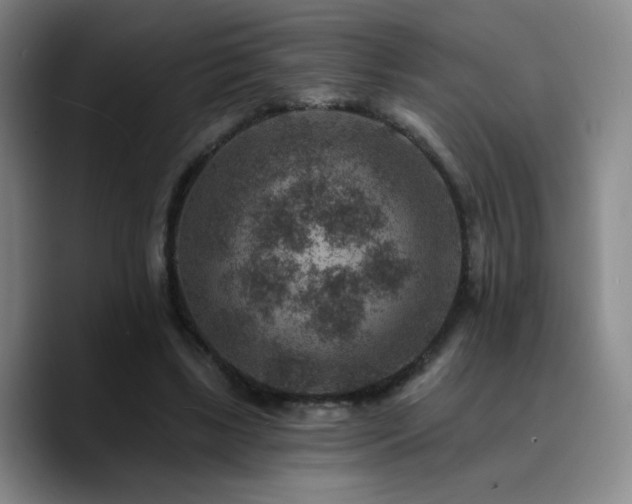 X0000090730443200707201412