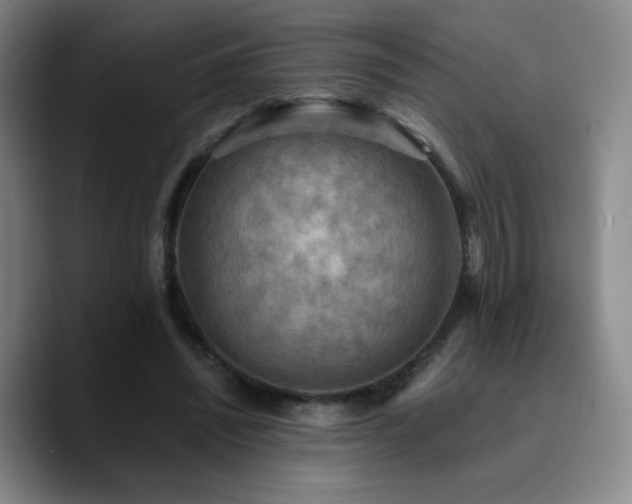 X0000090730444200707201412