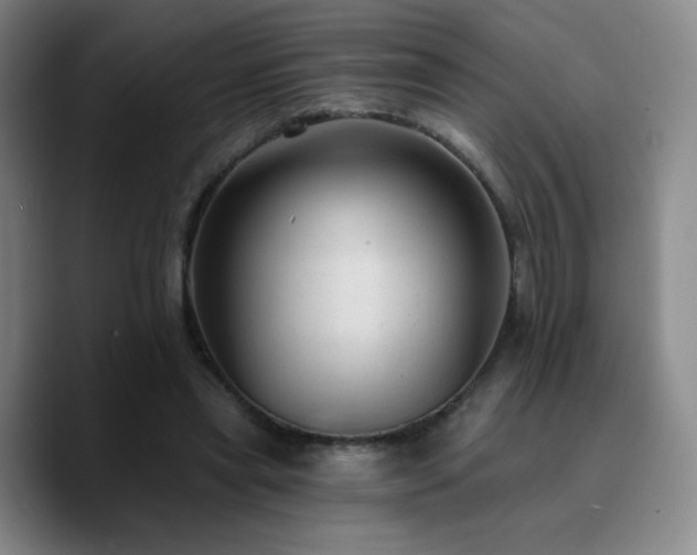 X0000090730445200707201412