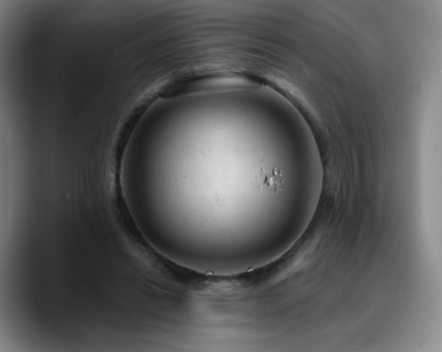 X0000090730446200707201412
