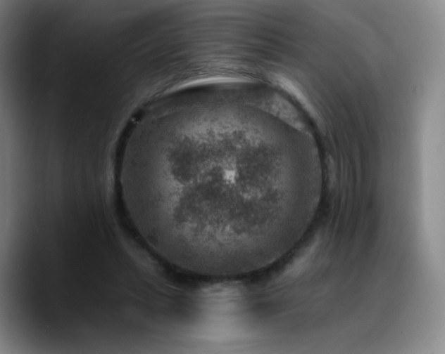 X0000090730447200707201412
