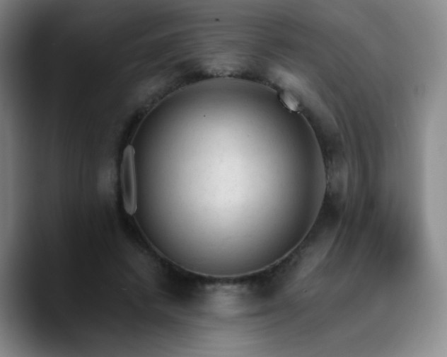 X0000090730448200707201412