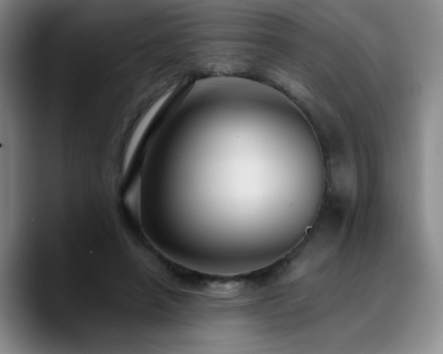 X0000090730450200707201412