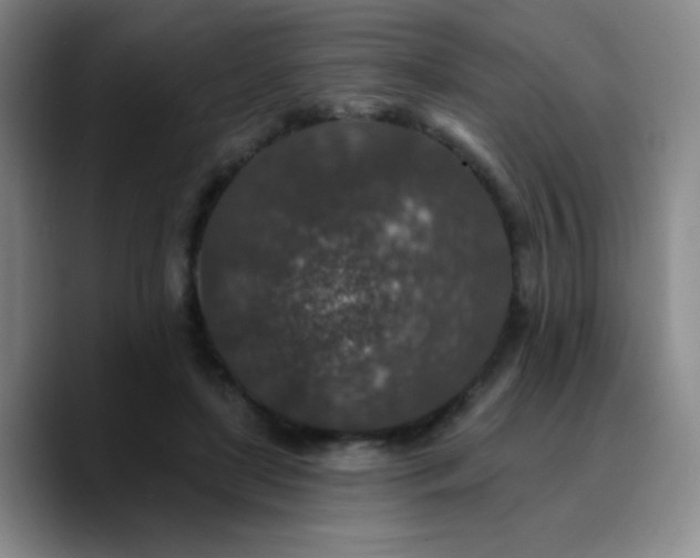 X0000090730451200707201412