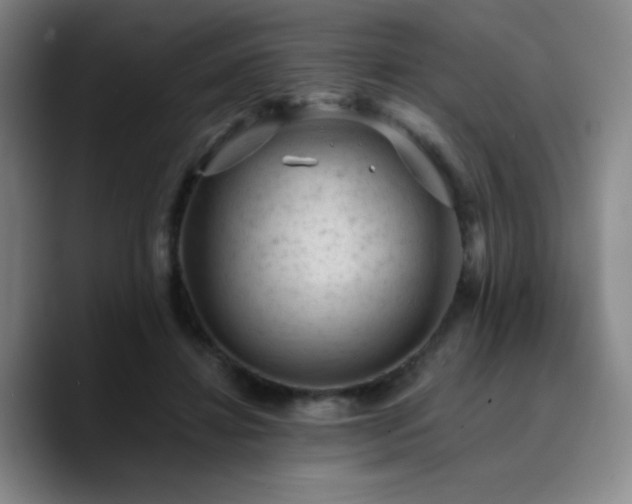 X0000090730452200707201412