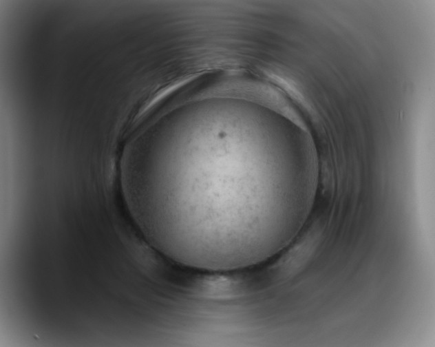 X0000090730453200707201412