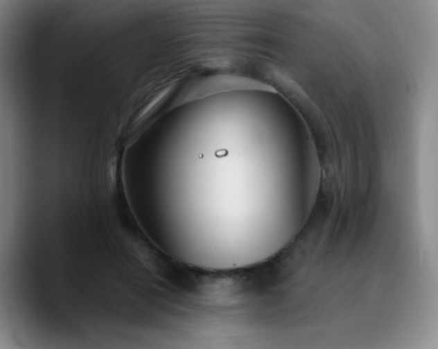 X0000090730454200707201412