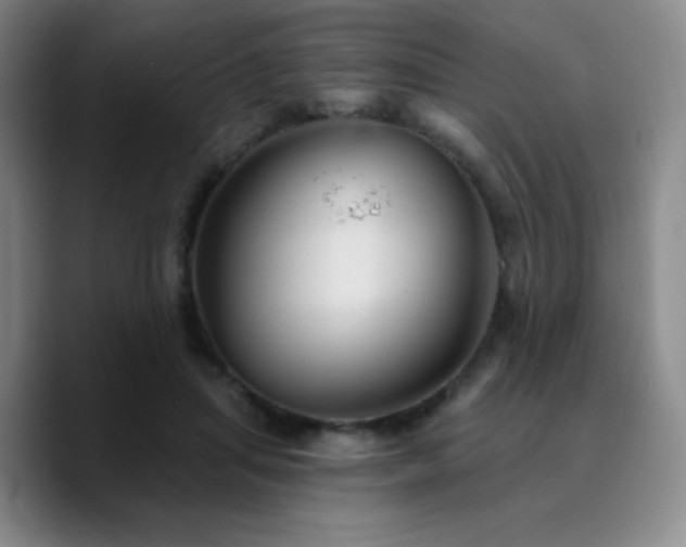 X0000090730455200707201412