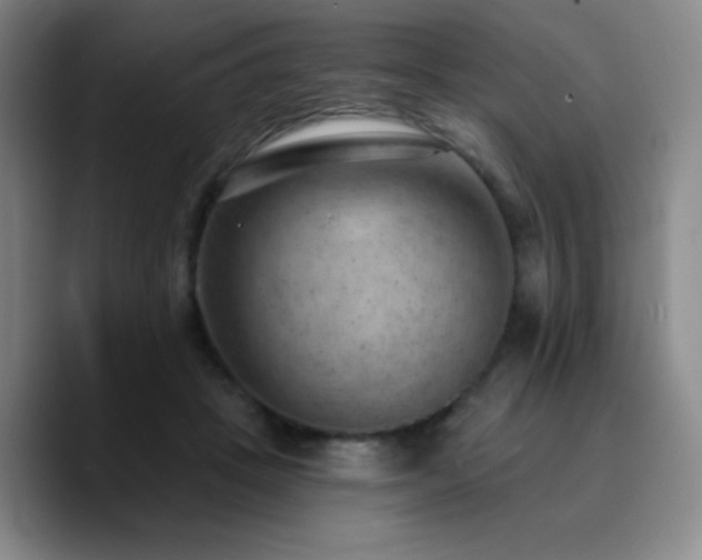 X0000090730457200707201412