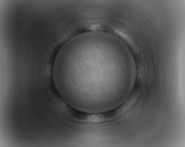 X0000090730461200707201412