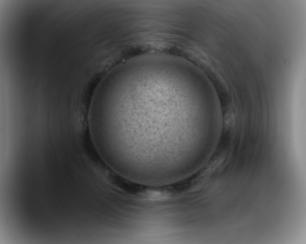 X0000090730464200707201412