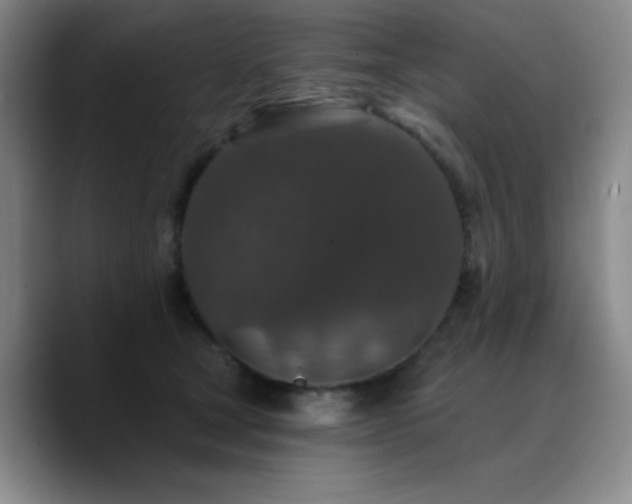 X0000090730465200707201412