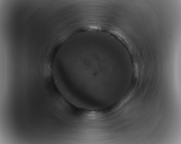 X0000090730467200707201412