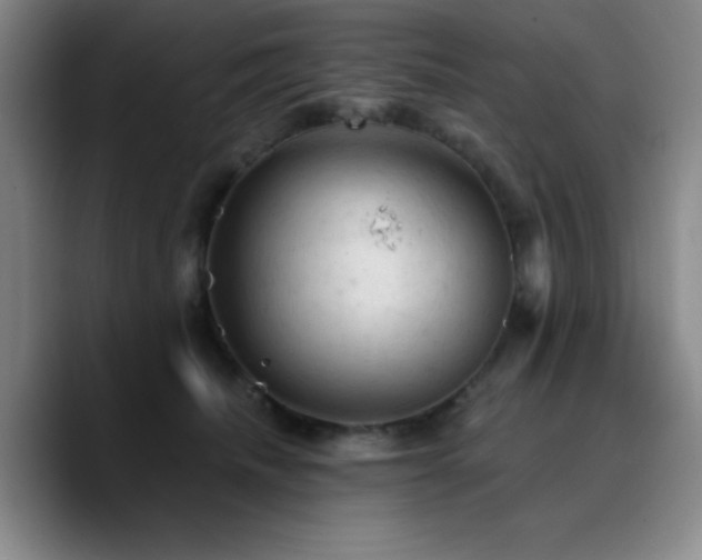 X0000090730468200707201412