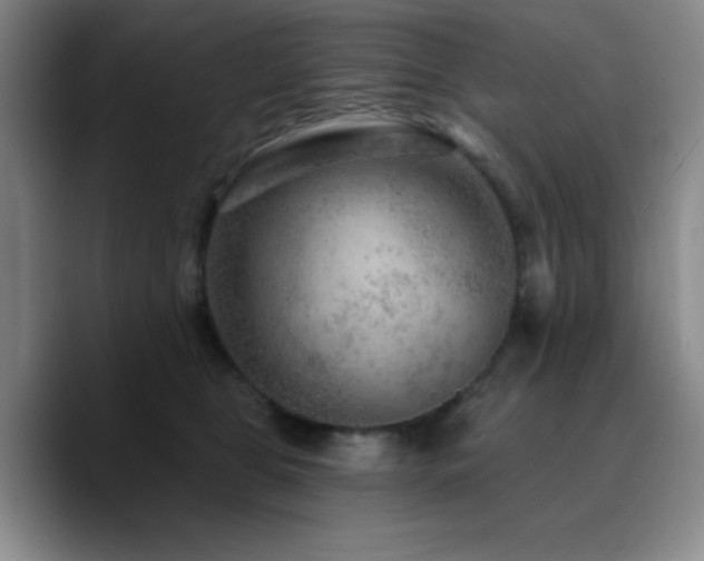 X0000090730469200707201412
