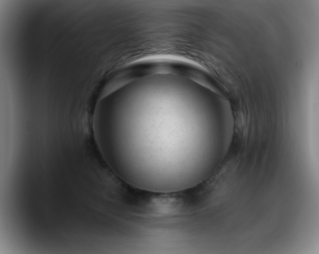 X0000090730470200707201412