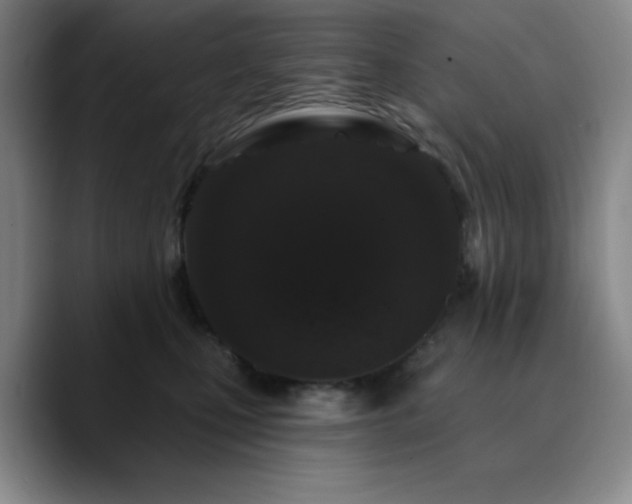 X0000090730471200707201412
