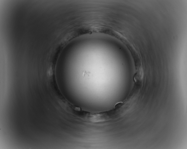 X0000090730472200707201412