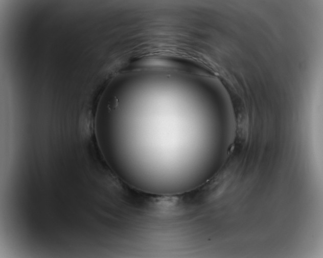 X0000090730474200707201412
