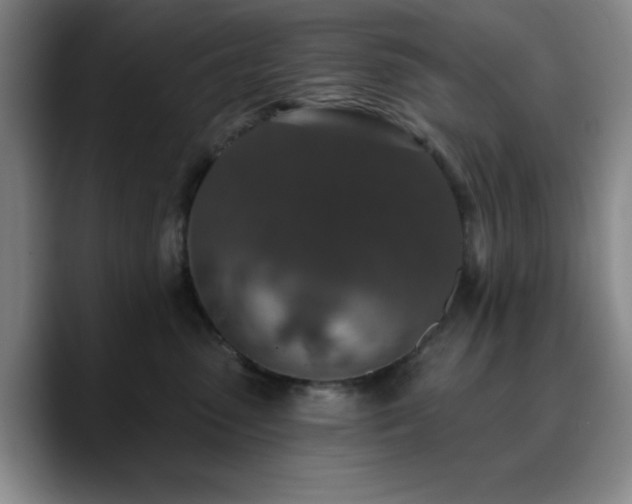 X0000090730475200707201412