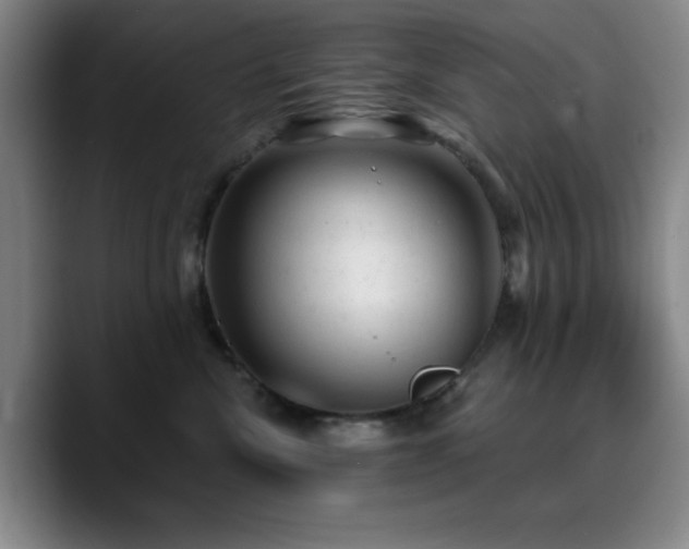 X0000090730476200707201412