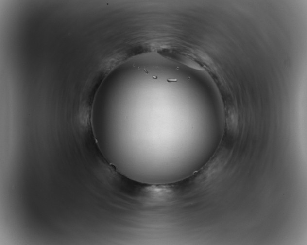 X0000090730477200707201412