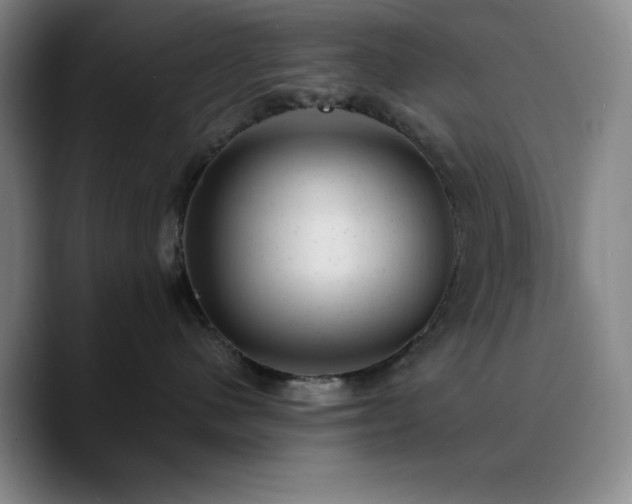X0000090730480200707201412