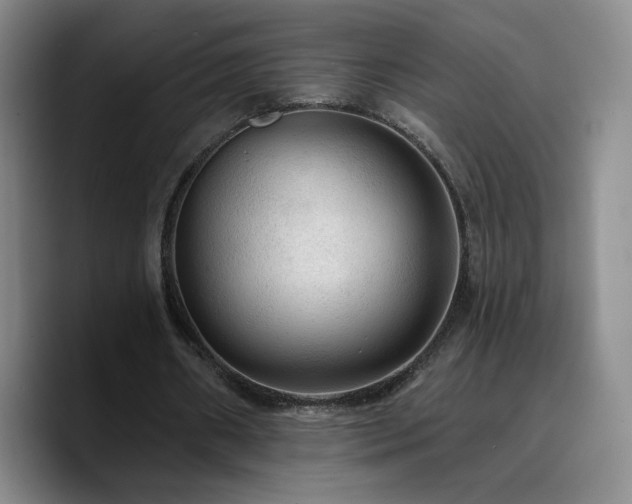 X0000090730482200707201412