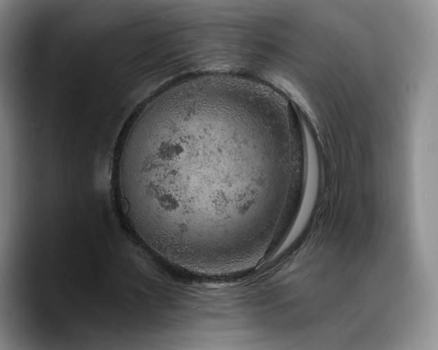 X0000090730483200707201412