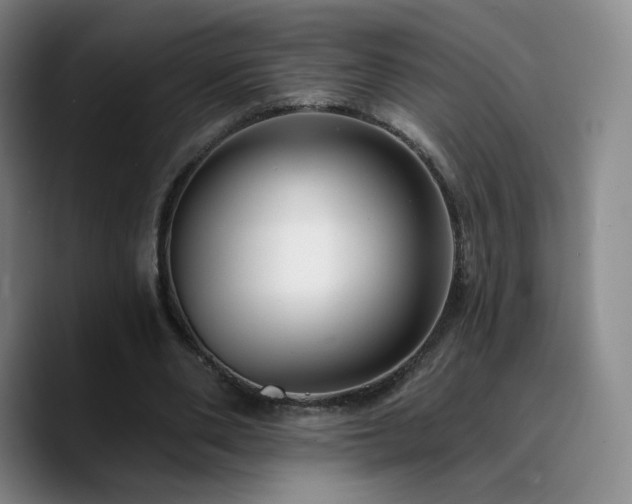 X0000090730486200707201412