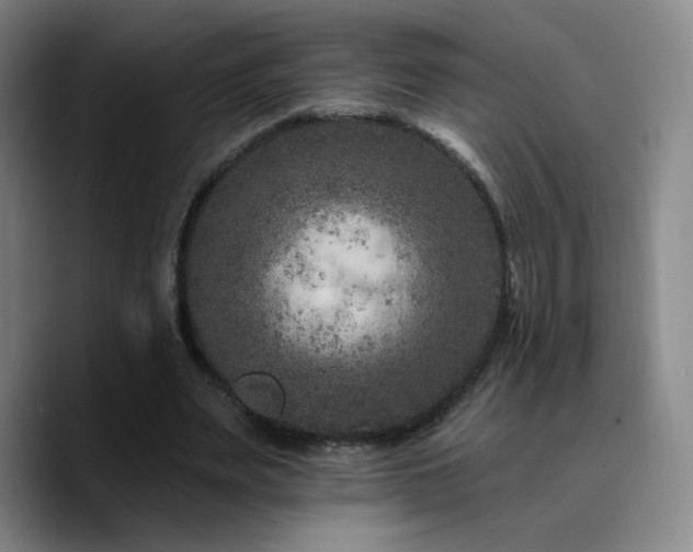 X0000090730487200707201412