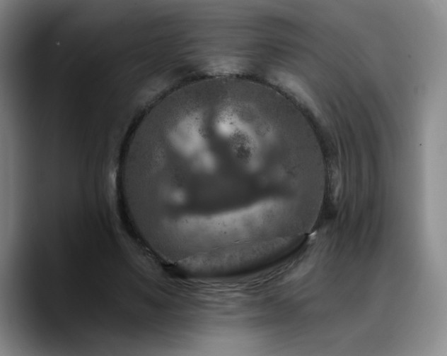 X0000090730491200707201412