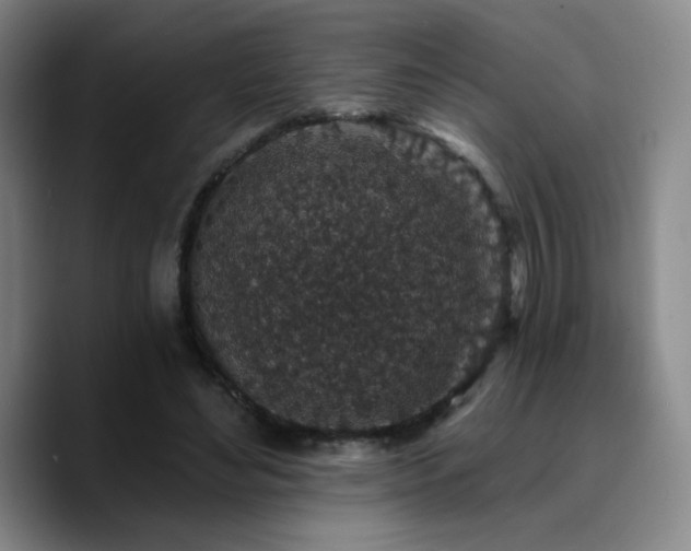 X0000090730492200707201412