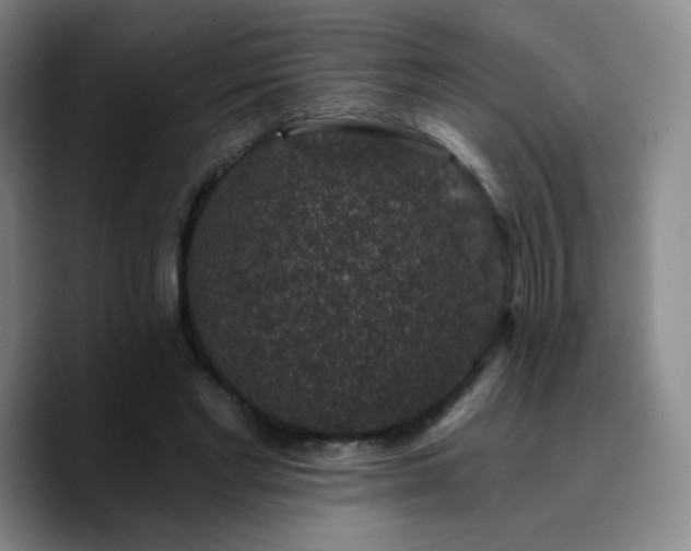 X0000090730493200707201412