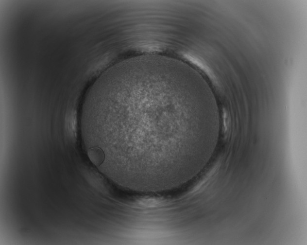 X0000090730494200707201412
