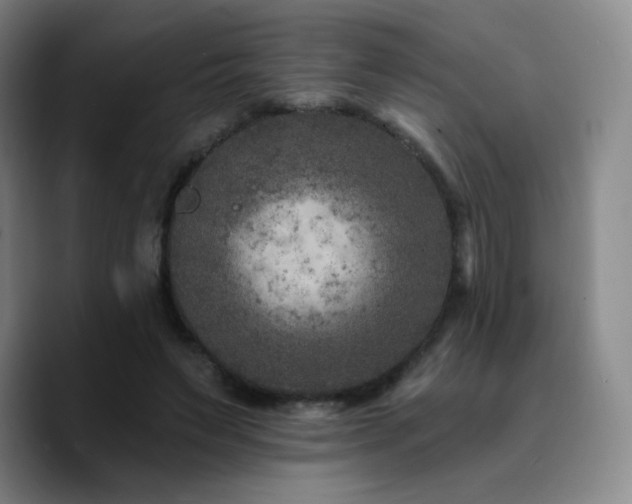 X0000090730495200707201411