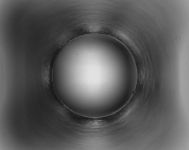 X0000090730497200707201411