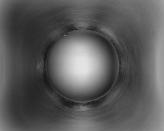 X0000090730498200707201411