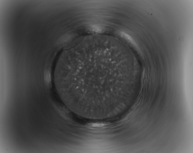 X0000090730500200707201411